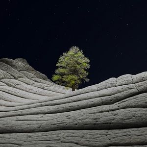 Meet your Posher, Kelson